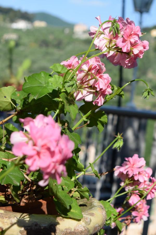 Villa Il Respiro Zoagli Dış mekan fotoğraf